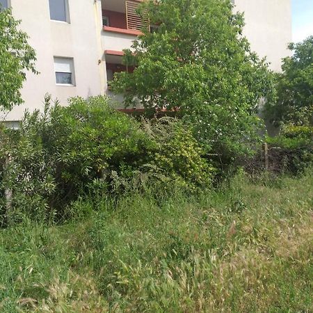 Le Nomade, Parc Montcalm Et Stationnement Prive Leilighet Montpellier Eksteriør bilde