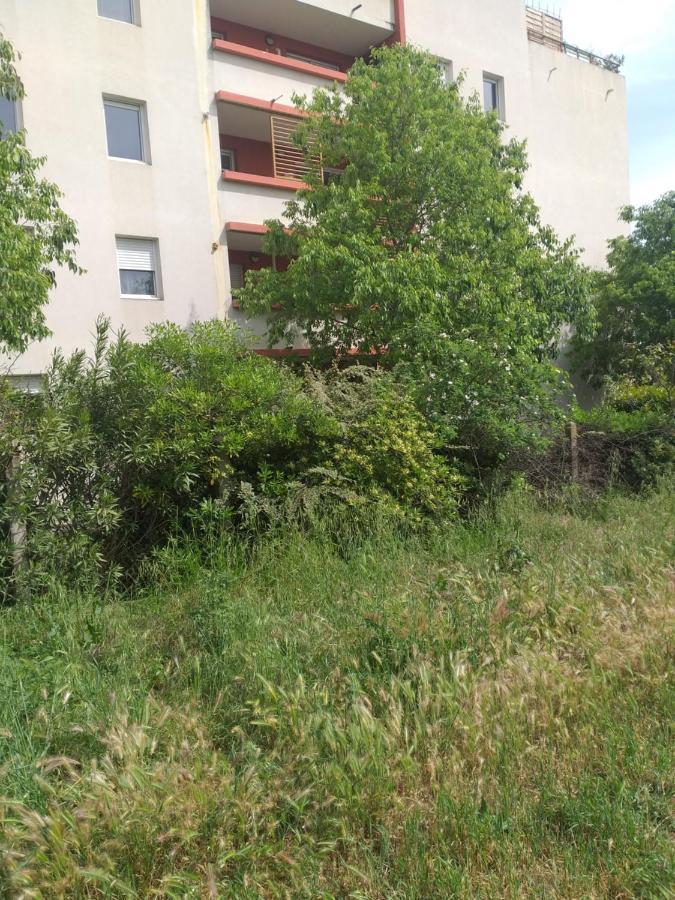Le Nomade, Parc Montcalm Et Stationnement Prive Leilighet Montpellier Eksteriør bilde
