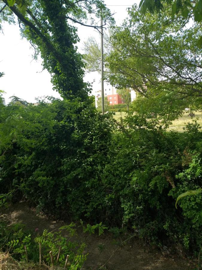 Le Nomade, Parc Montcalm Et Stationnement Prive Leilighet Montpellier Eksteriør bilde